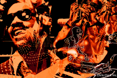 Stevie's Wonderland